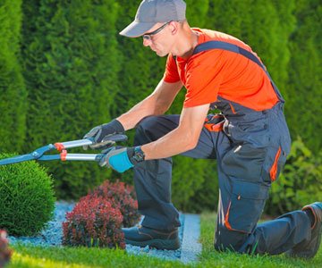 DIY installation guide