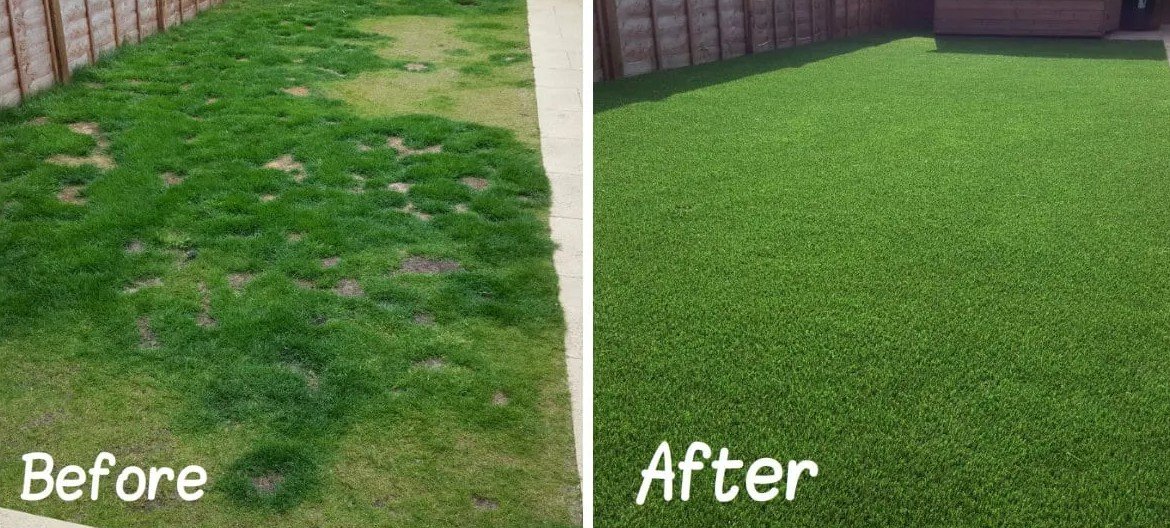 Lawn care project in Austin, TEXAS