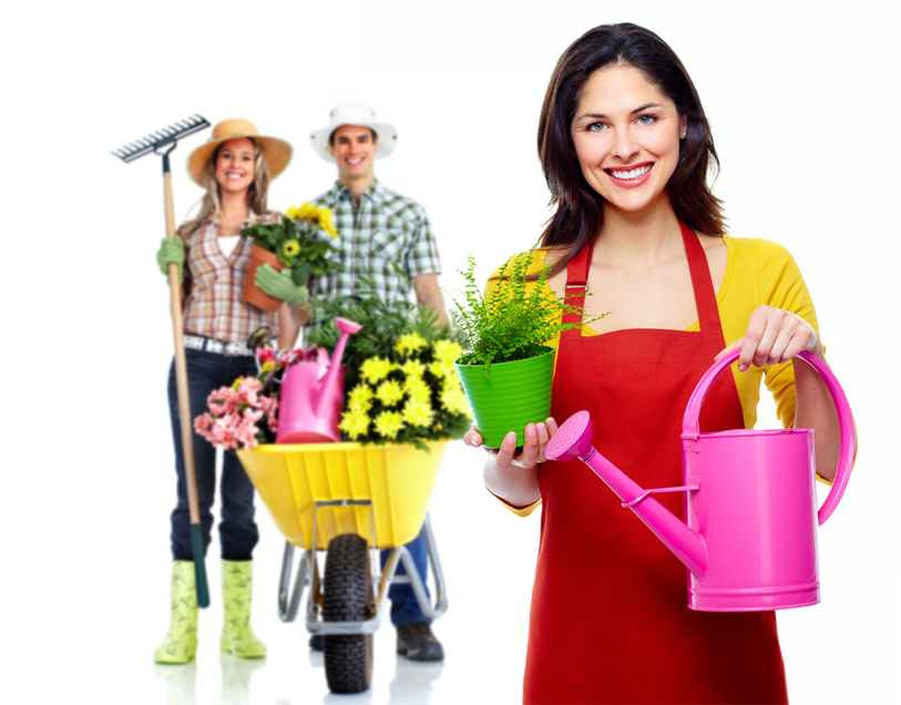 Testimonial visual decoration image