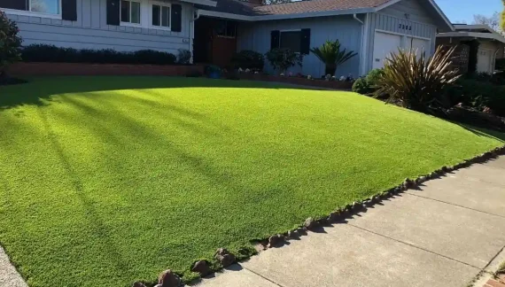 Low Maintenance Artificial Grass Dallas