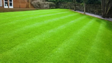 Custom Turf Installation Services in Dallas