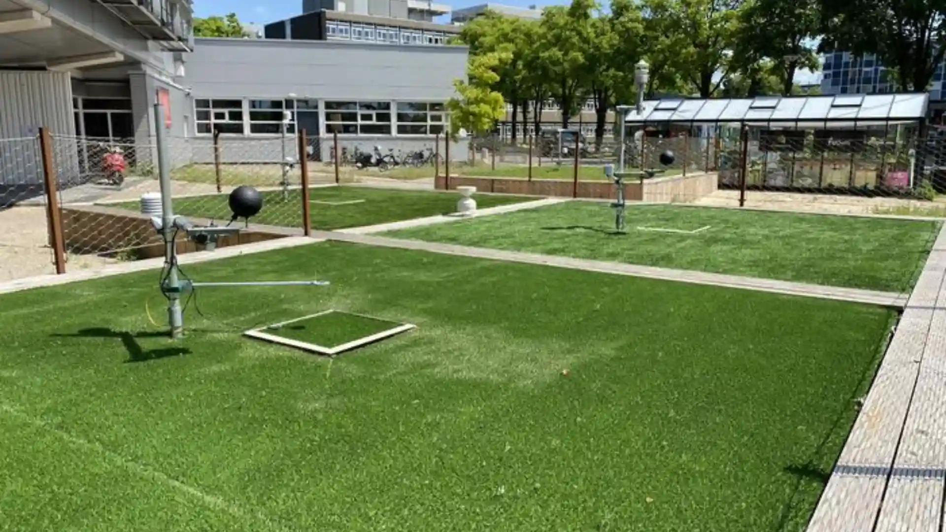 Environmental and Maintenance Perks of Poolside Turf