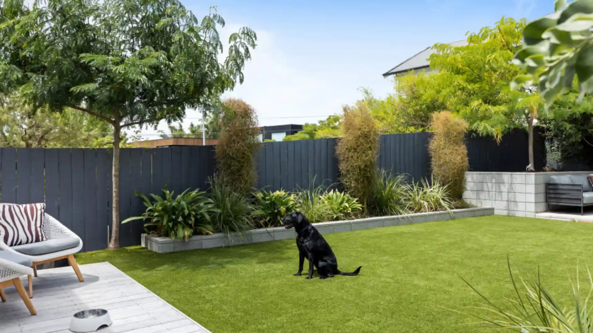 Pet-Friendly Artificial Grass Solutions